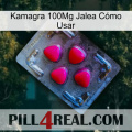 Kamagra 100Mg Jalea Cómo Usar 13